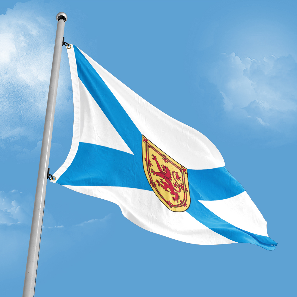 Canada Flag of Nova Scotia 3ft - Nova Decor & Lighting Juletrelys recension och pris